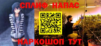 ПСИЛОЦИБИНОВЫЕ ГРИБЫ Свободный