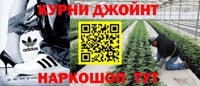сатива Северобайкальск