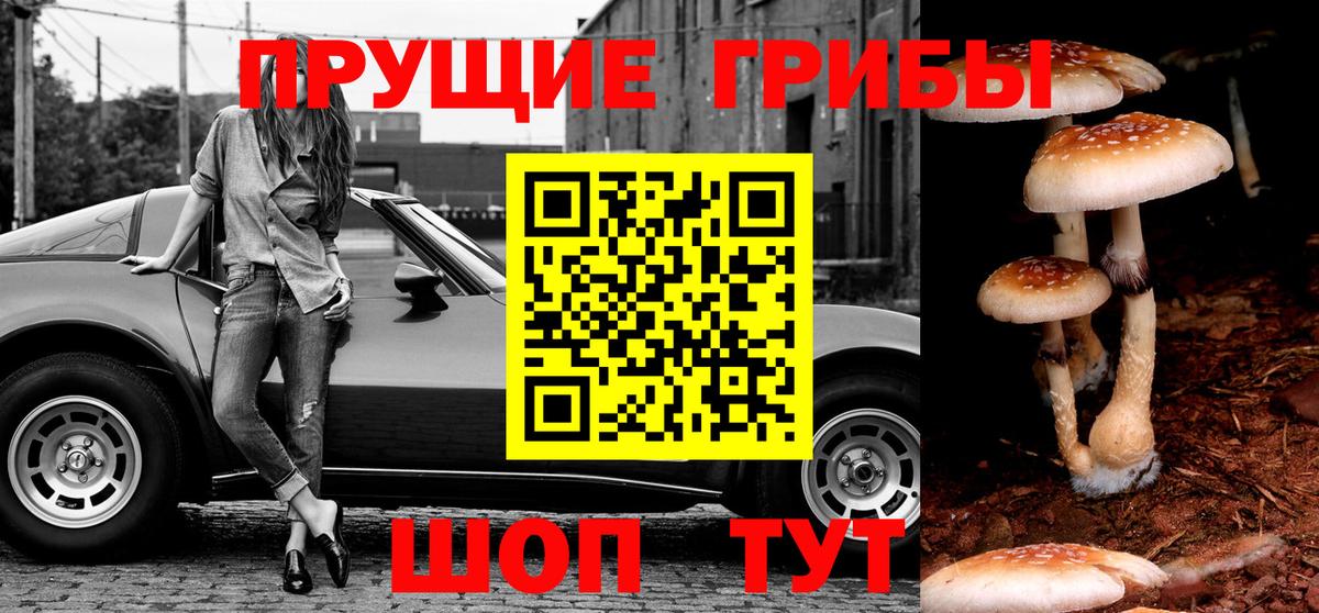 Псилоцибиновые грибы MAGIC MUSHROOMS  Псилоцибиновые грибы Cubensis  Муравленко  Вход с VPN 