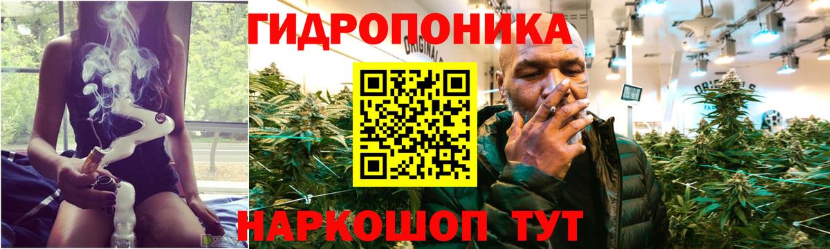 Муравленко  Канабис индика  Бошки Шишки Ganja  Вход с VPN  Шишки марихуана индика 